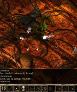 Baldurs Gate II Enhanced Edition PC Game 5