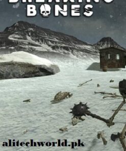 Breaking Bones PC Game