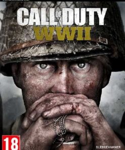 Call of duty WWll PC Game