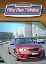 City Car Driving PC Game