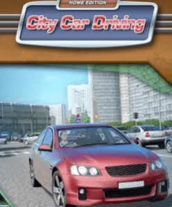 City Car Driving PC Game