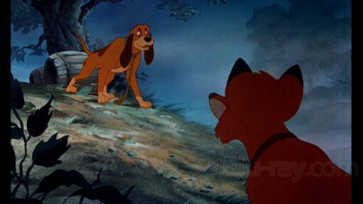 The Fox and the Hound Movie in Hindi 6