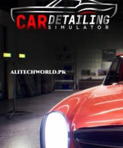 Car Detailing Simulator PC Game