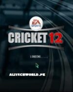 EA Sports Cricket 2012 PC Game