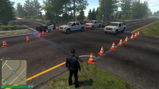 Flashing Lights Police Fire EMS PC Game 5