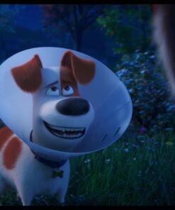 The Secret Life of Pets 2 Movie in Hindi 4