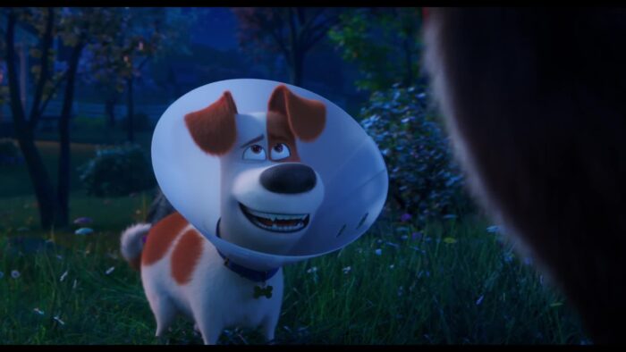 The Secret Life of Pets 2 Movie in Hindi 4