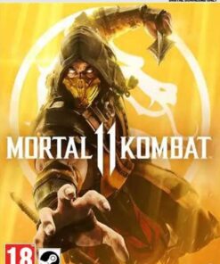 Mortal Combat 11 PC Game