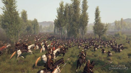 Mount & Blade II Bannerlord PC Game 5