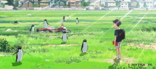 Penguin Highway Movie in Hindi 5