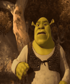 Shrek Forever After Movie in Hindi 3