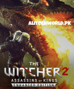 The Witcher 2 - Assassins of Kings Enhanced Edition PC Game