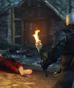 The Witcher 3 Wild Hunt PC Game 2