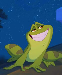 The Princess and the Frog Movie in Hindi 6