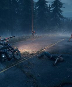 Days Gone PC Game 3