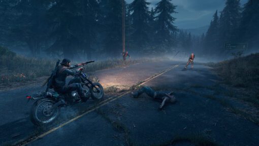 Days Gone PC Game 3