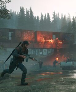 Days Gone PC Game 6