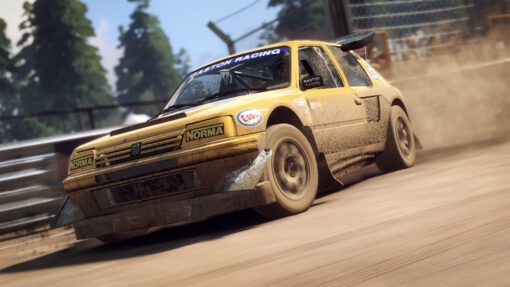Dirt Rally PC Game 2