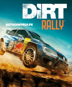 Dirt Rally PC Game