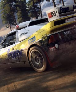 Dirt Rally PC Game 3