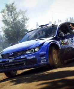 Dirt Rally PC Game 4