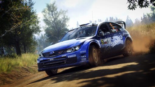 Dirt Rally PC Game 4