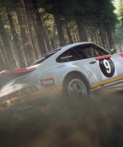 Dirt Rally PC Game 5