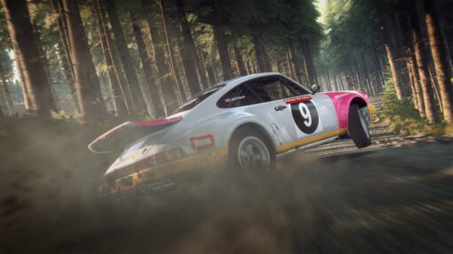 Dirt Rally PC Game 5