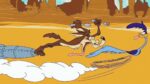 Road Runner vs. Wile E. Coyote The Classic Chase 3