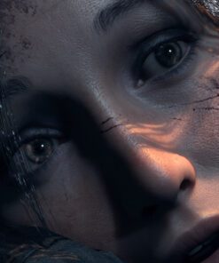 Rise of the Tomb Raider PC Game 3