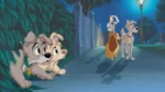 LadyAnd The Tramp 2 Scamps Adventure Movie in Hindi 6