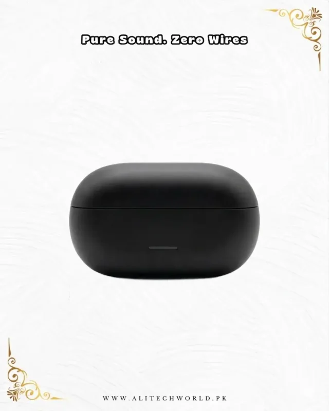 O-Hook Wireless Earbuds Type-C